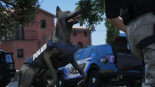 Advanced K9 🦴 Attack on Command