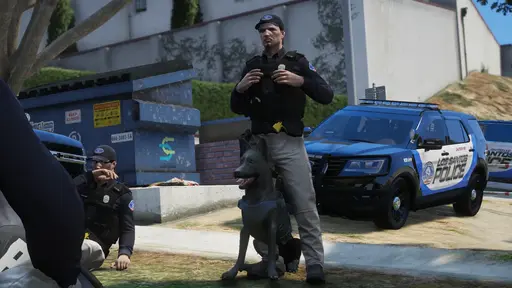 Advanced K9 📢 Give Commands