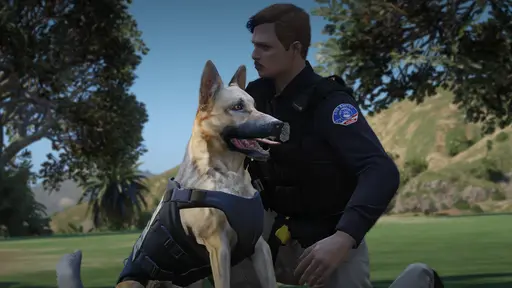 Advanced K9